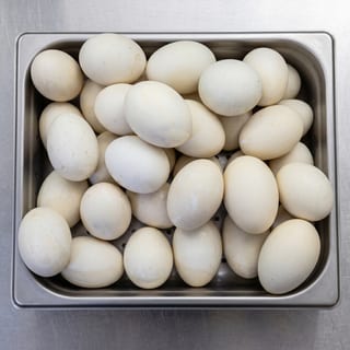 Balut